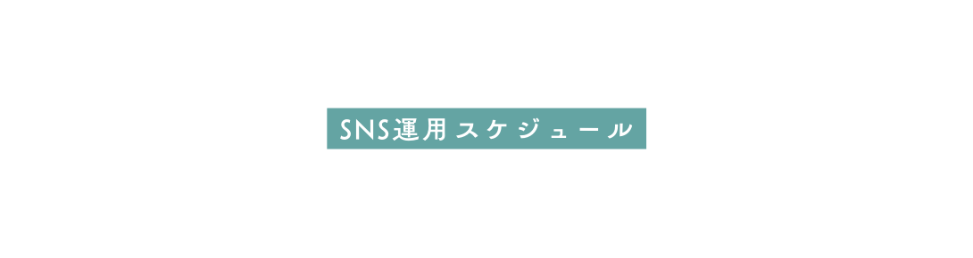 SNS運用スケジュール